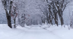 DOSTO_chemin enneigé